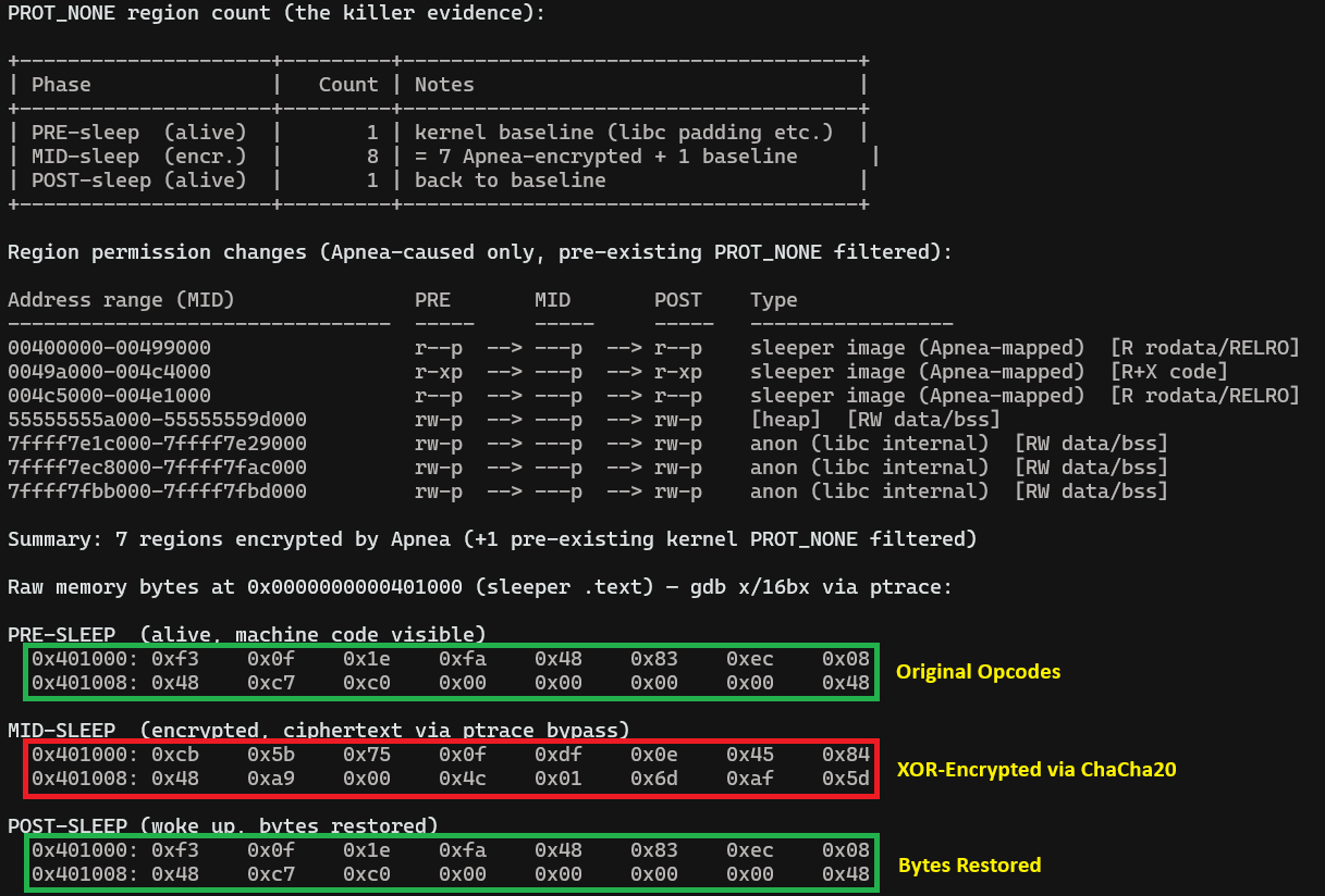 Terminal output showing the PROT_NONE region count, seven memory regions changing to no access during sleep, and raw bytes at the sleeper's init symbol changing to ciphertext before being restored
